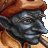 avatar de axb cesar
